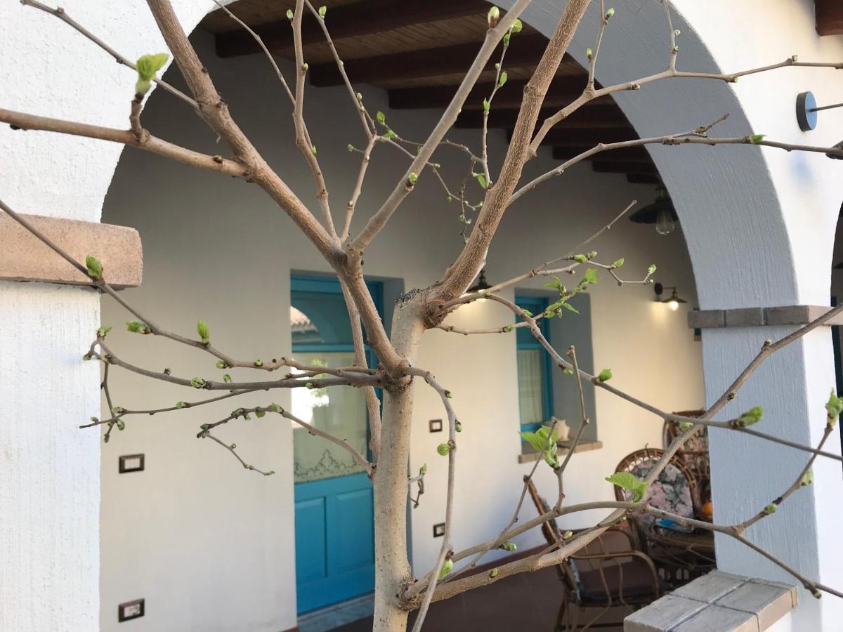 Centu Concas Bed & Breakfast Muravera Exterior foto