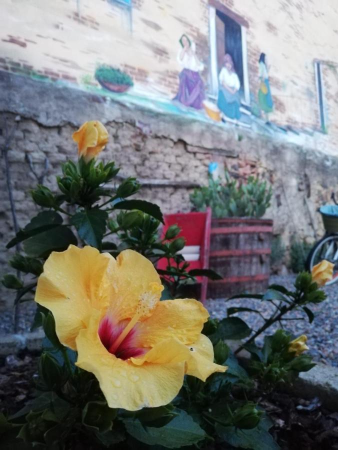 Centu Concas Bed & Breakfast Muravera Exterior foto